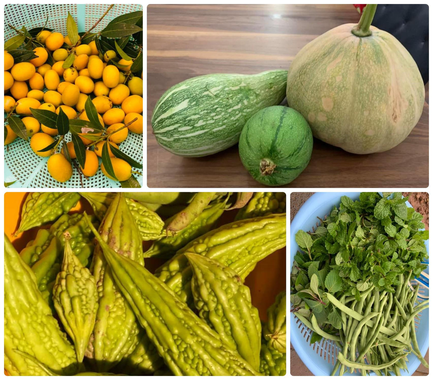 Nguyễn Thị Huyền cho biết nguồn rau sạch và trái cây trồng quanh nhà là thực phẩm chính cho các bữa ăn trong gia đình. Nguyễn Thị Huyền cho biết nguồn rau sạch và trái cây trồng quanh nhà là thực phẩm chính cho các bữa ăn trong gia đình.