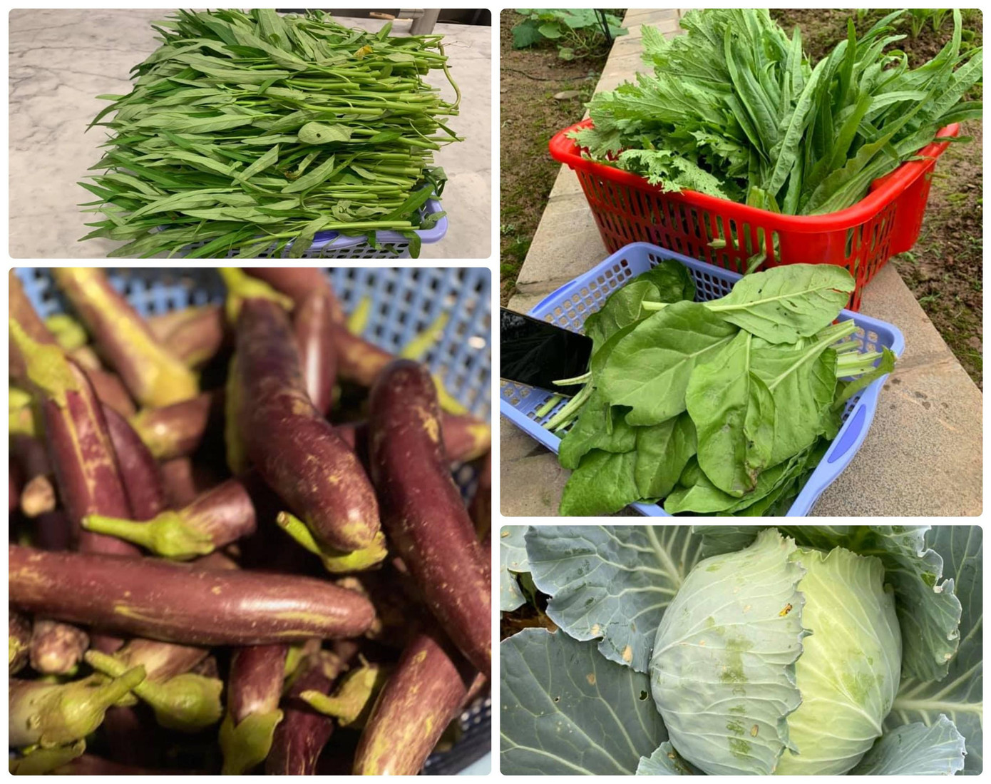 Nguyễn Thị Huyền đăng quang Hoa hậu Việt Nam 2004. Cuối năm 2004, cô đại diện cho Việt Nam tham dự cuộc thi Hoa hậu Thế giới tại Trung Quốc. Với khuôn mặt đầy đặn, mộc mạc mang vẻ đẹp đặc trưng của phụ nữ Á Đông, hình thể lợi thế (84-60-92) với chiều cao 1,72 m, cô đã có mặt trong Top 15, đồng hạng 10 với hoa hậu Trung Quốc. Nguyễn Thị Huyền đăng quang Hoa hậu Việt Nam 2004. Cuối năm 2004, cô đại diện cho Việt Nam tham dự cuộc thi Hoa hậu Thế giới tại Trung Quốc. Với khuôn mặt đầy đặn, mộc mạc mang vẻ đẹp đặc trưng của phụ nữ Á Đông, hình thể lợi thế (84-60-92) với chiều cao 1,72 m, cô đã có mặt trong Top 15, đồng hạng 10 với hoa hậu Trung Quốc.