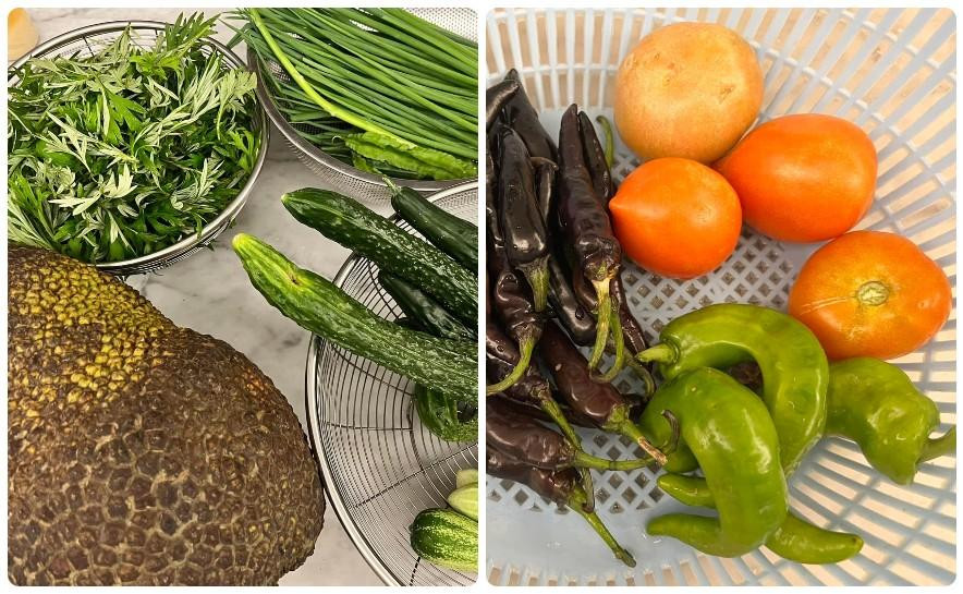 Nàng hậu liên tục thu hoạch từ vườn rau xanh của mình. Nàng hậu liên tục thu hoạch từ vườn rau xanh của mình.