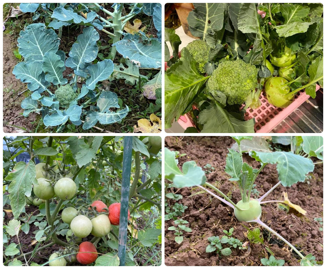 Sau 2 năm đương nhiệm, Hoa hậu Nguyễn Thị Huyền đi du học rồi về nước kết hôn. Từ năm 2009 đến 2011, cô làm việc tại VTV4 - Đài Truyền hình Việt Nam. Hiện, nàng hậu đã ly hôn và đang sống cùng con gái. Ngoài ra, Hoa hậu gốc Hải Phòng còn tập trung kinh doanh nhà hàng và có công ty riêng. Sau 2 năm đương nhiệm, Hoa hậu Nguyễn Thị Huyền đi du học rồi về nước kết hôn. Từ năm 2009 đến 2011, cô làm việc tại VTV4 - Đài Truyền hình Việt Nam. Hiện, nàng hậu đã ly hôn và đang sống cùng con gái. Ngoài ra, Hoa hậu gốc Hải Phòng còn tập trung kinh doanh nhà hàng và có công ty riêng.