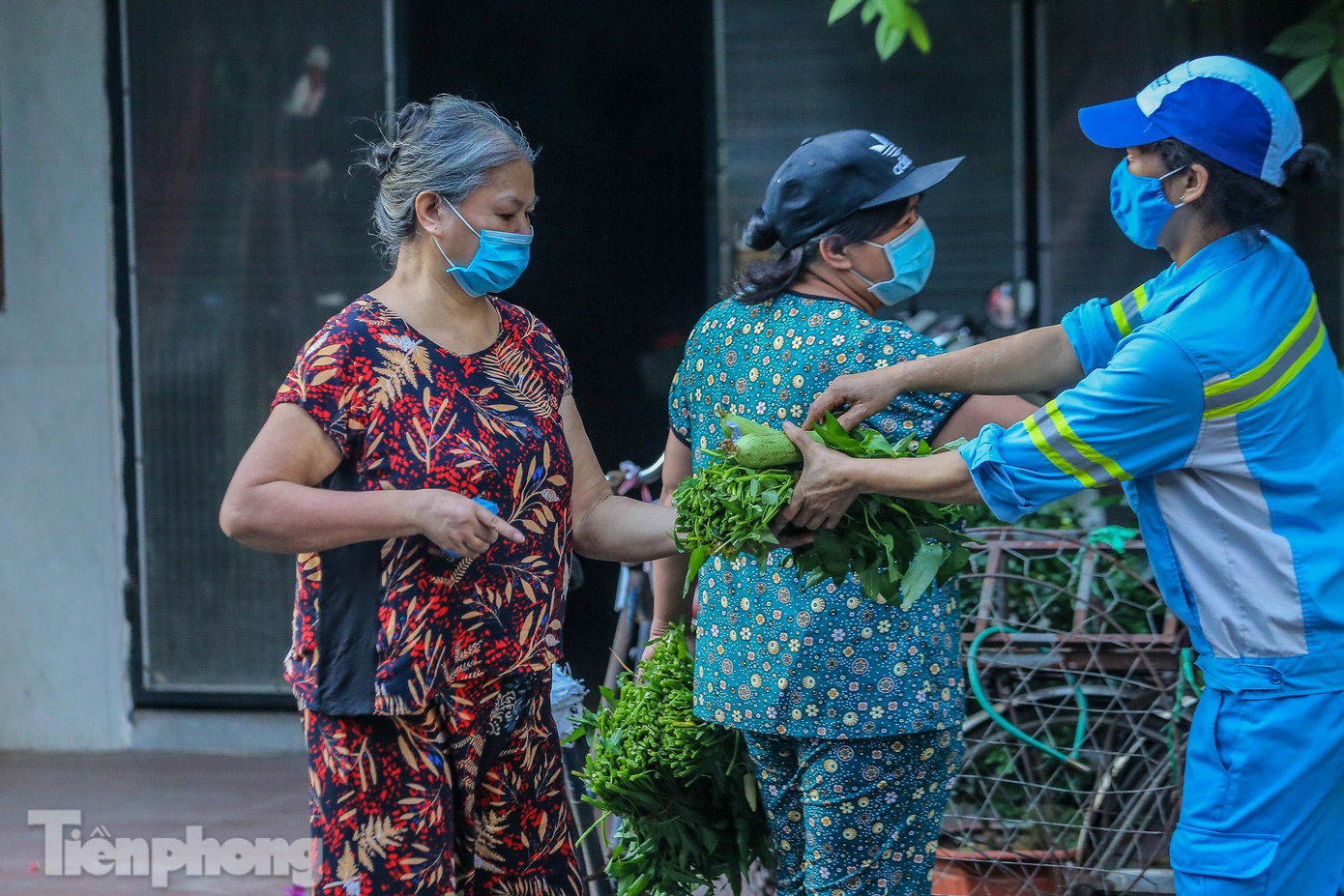 Rau có rất nhiều loại cho người dân có thể lựa chọn cho phù hợp.