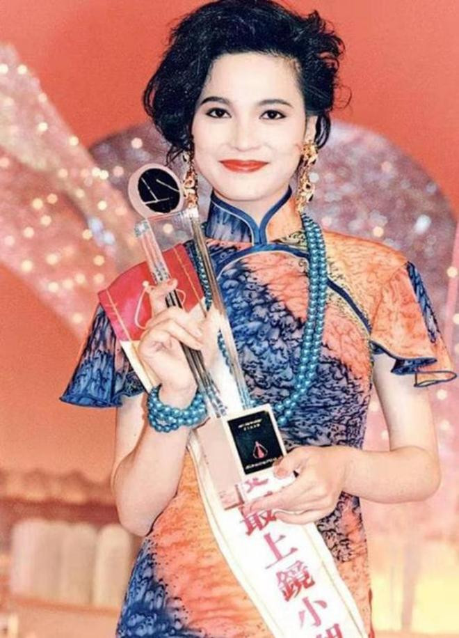 Phàn Diệc Mẫn sinh năm 1971 tại xứ Cảng thơm. Năm 1991, cô tham dự cuộc thi Hoa hậu Hong Kong do đài TVB tổ chức và giành giải hoa hậu ảnh. Nhờ nhan sắc cuốn hút nên sau khi đăng quang cô nhanh chóng ký kết hợp đồng với TVB. Ngay từ bộ phim đầu tay - Thái cực tông sư, Diệc Mẫn đã giành được thành công vang dội nhưng cô nhanh chóng để sự nghiệp sa sút vì bê bối đời tư.