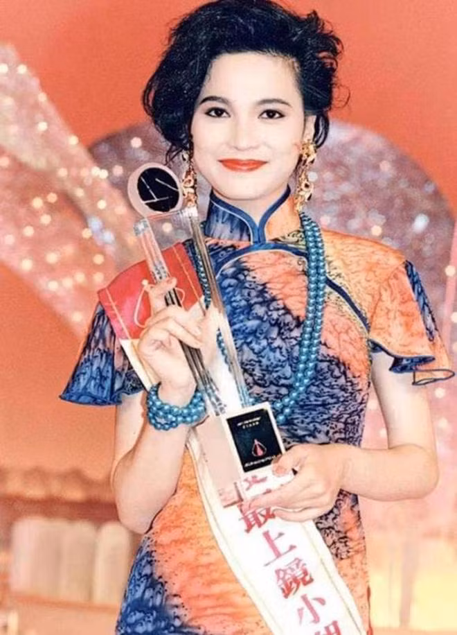 Phàn Diệc Mẫn sinh năm 1971 tại xứ Cảng thơm. Năm 1991, cô tham dự cuộc thi Hoa hậu Hong Kong do đài TVB tổ chức và giành giải hoa hậu ảnh. Nhờ nhan sắc cuốn hút nên sau khi đăng quang cô nhanh chóng ký kết hợp đồng với TVB. Ngay từ bộ phim đầu tay - Thái cực tông sư, Diệc Mẫn đã giành được thành công vang dội nhưng cô nhanh chóng để sự nghiệp sa sút vì bê bối đời tư.