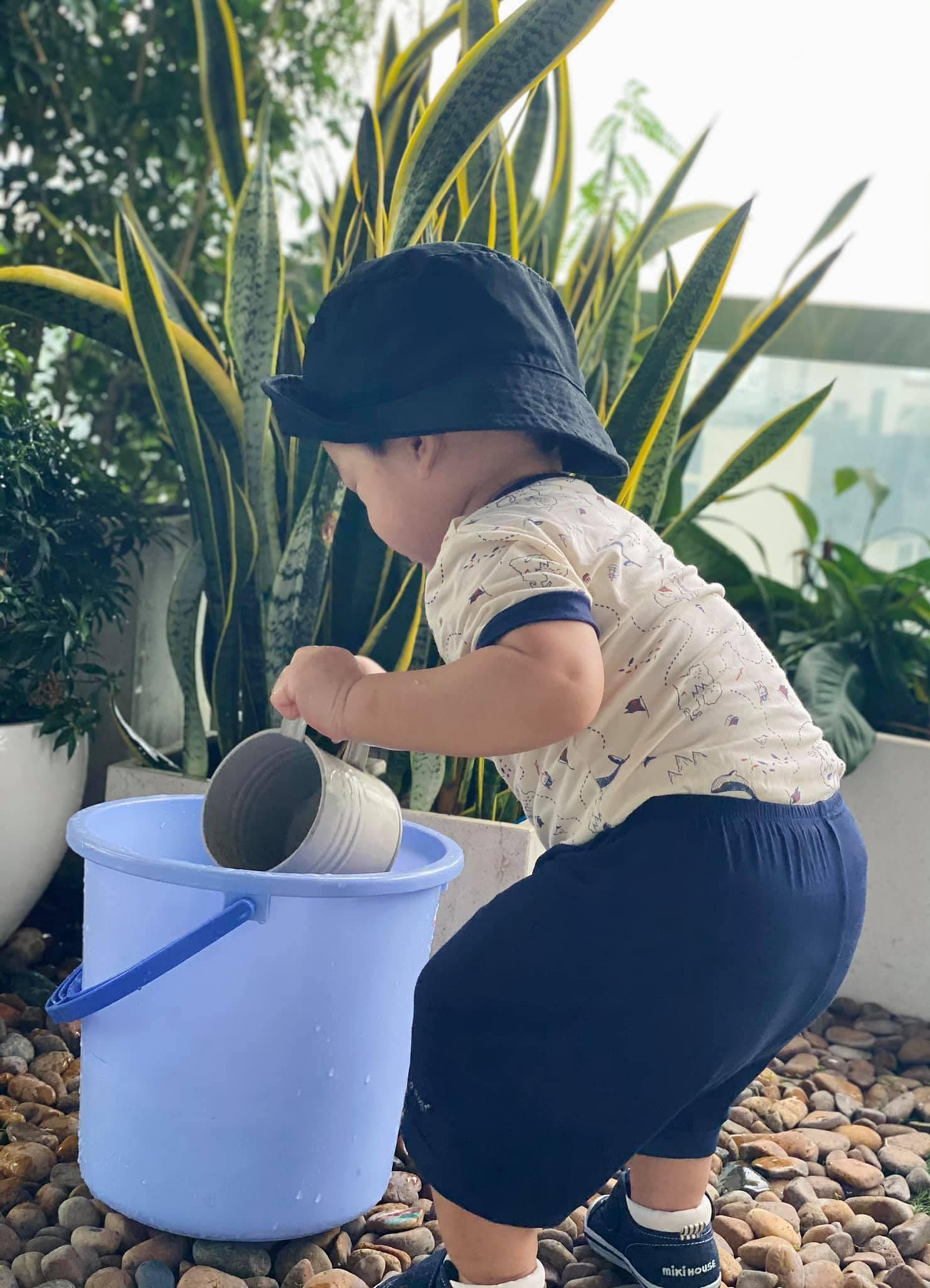 Hoa hậu Đặng Thu Thảo khoe ảnh con trai chăm chỉ tưới cây cực đáng yêu. Hoa hậu Đặng Thu Thảo khoe ảnh con trai chăm chỉ tưới cây cực đáng yêu.