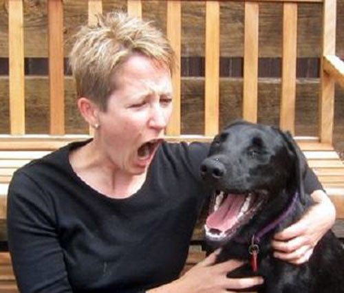 Chó cũng có thể ngáp theo chủ