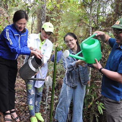 Công viên tre xanh Công viên tre xanh