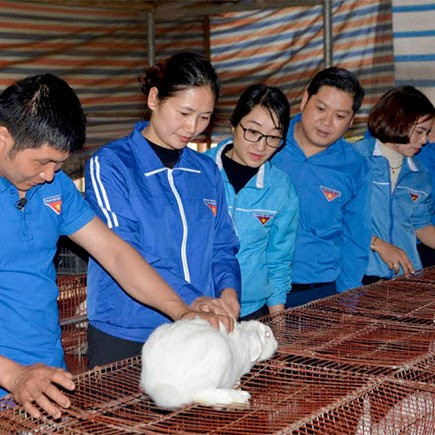 Hỗ trợ thanh niên dân tộc thiểu số khởi nghiệp Hỗ trợ thanh niên dân tộc thiểu số khởi nghiệp