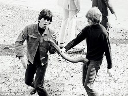 Cảnh sát đã phải can thiệp khi các fans hâm mộ lao tới khu vực biểu diễn của Rolling Stones tại Fresno California, Mỹ. Hai tay guitar Brian Jones và Keith Richards của Rolling Stones uống cocktail tại khách sạn của họ ở Florida. Mick Jagger tại khách sạn Jack Fort Harrison ở Clearwater, Florida, Mỹ. Mick Jagger thư giãn sau một ngày thu âm tại Studio RCA ở Hollywood, California. Huyền thoại nhạc soul James Brown và Mick Jagger tại hậu trường của Teen Age Music International Show. Mick Jagger biểu diễn single đầu tiên tại Mỹ của Rolling Stones - Not Fade Away. Mick Jagger xem tivi lúc nghỉ ngơi trong tour diễn Mỹ của Rolling Stones. Mal Evans - nhà thu âm và là nhạc sĩ phụ cho nhóm Beatles trêu đùa Ringo Starr trong một kì nghỉ tại Key West, Florida khi họ đang đi tour tại Mỹ. The Beatles trêu đùa nhau trong khi chụp hình cho một tạp chí tại Bel Air, California, Mỹ. John Lennon tại hậu trường của sân vận động J.F.K ở Philadenphia, Mỹ. Brian Jones và Keith Richards chơi đùa với một đạo cụ trong buổi chụp hình bìa của một album. John Lennon làm trò trong khi thử âm thanh trước một buổi biểu diễn tại Mỹ. Mick Jagger trong phòng thay đồ chuẩn bị cho sự xuất hiện của Rolling Stones tại chương trình Ed Sullivan Show. Keith Richards tại sân bay và sau đó cắt tóc cho Charlie Watts trước một buổi biểu diễn.