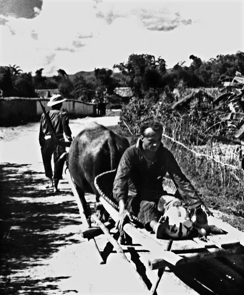 Bức ảnh Từ thần sấm xuống xe trâu Ảnh: Nguyễn Văn Bảo. Bức ảnh Từ thần sấm xuống xe trâu Ảnh: Nguyễn Văn Bảo.