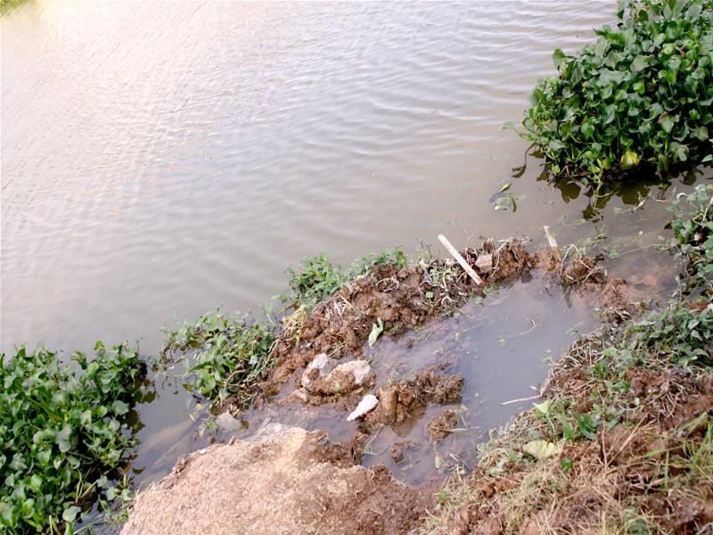 Dòng sông Ghẹ bị Tung Kuang đầu độc. Ảnh Minh Đức