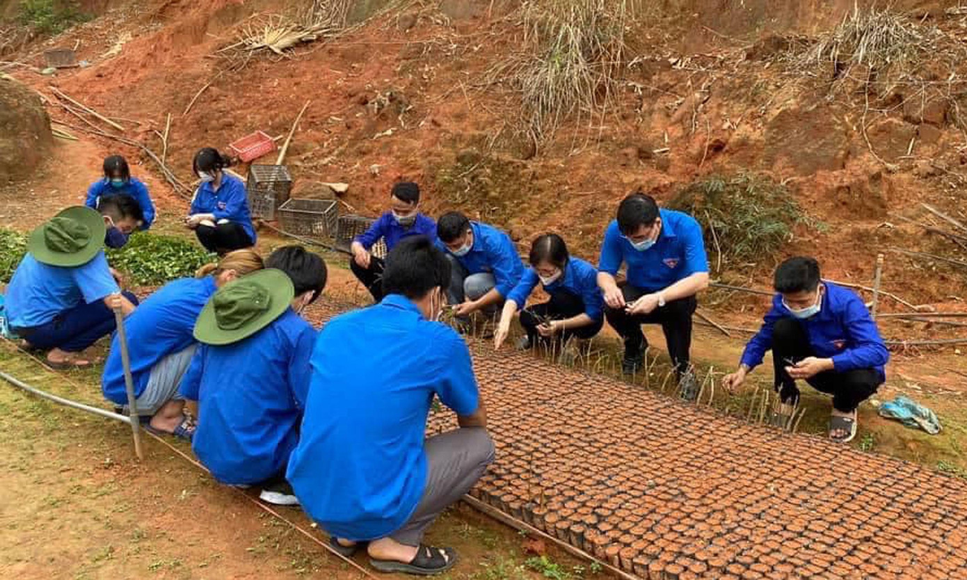 Dịp này, đoàn viên thanh niên tham gia xây dựng vườn ươm ươm cây tặng thôn Khuôn Bổ Dịp này, đoàn viên thanh niên tham gia xây dựng vườn ươm ươm cây tặng thôn Khuôn Bổ