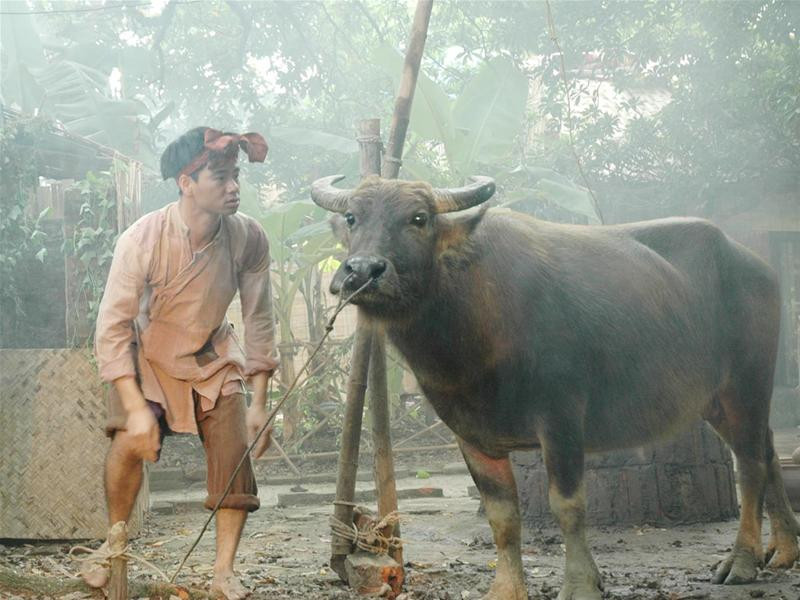 Xuân Bắc trong DVD hài Cả Ngố. Ảnh: Bích Ngà