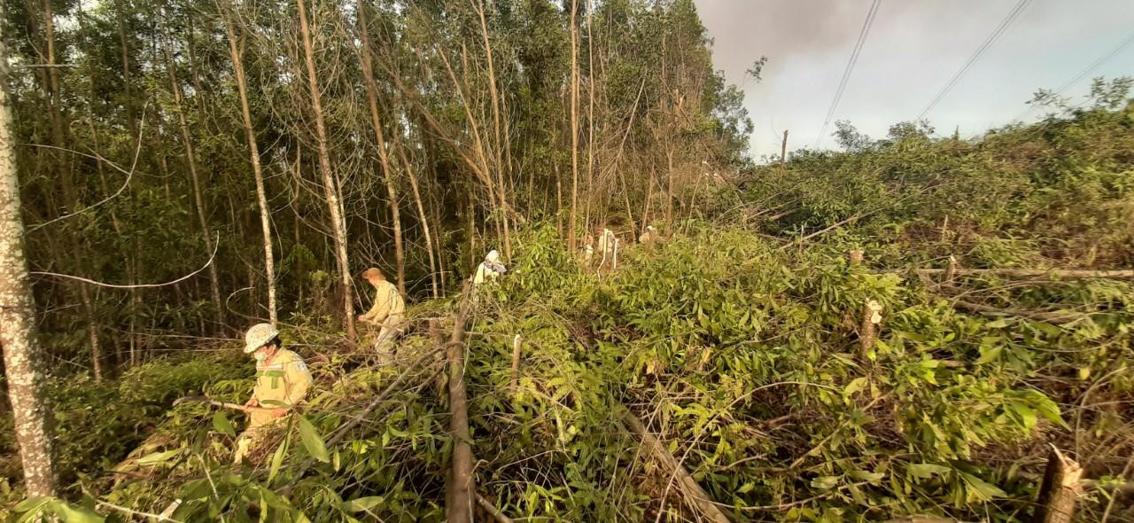 Công ty Truyền tải điện 2 đã huy động tối đa lực lượng tại chỗ của Truyền tải điện Thừa Thiên Huế, Đội TTĐ Phú Lộc túc trực 24/24 giờ để tham gia công tác chữa cháy