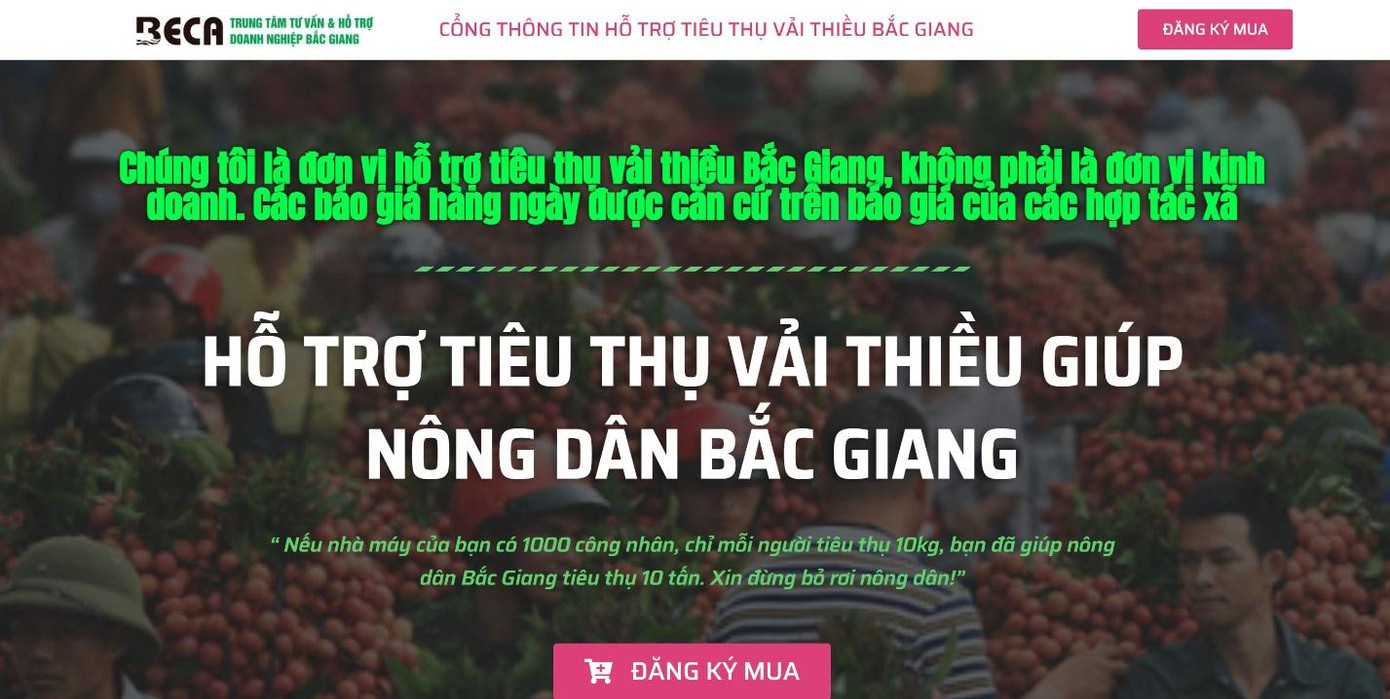 Cổng thông tin hỗ trợ tiêu thụ vải thiều do hiệp hội Doanh nghiệp tỉnh Bắc Giang xây dựng