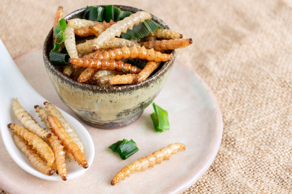 Cà phê làm từ sâu có nhiều dạng khác nhau, trong đó có cà phê Americano từ sâu tre. Cà phê làm từ sâu có nhiều dạng khác nhau, trong đó có cà phê Americano từ sâu tre.