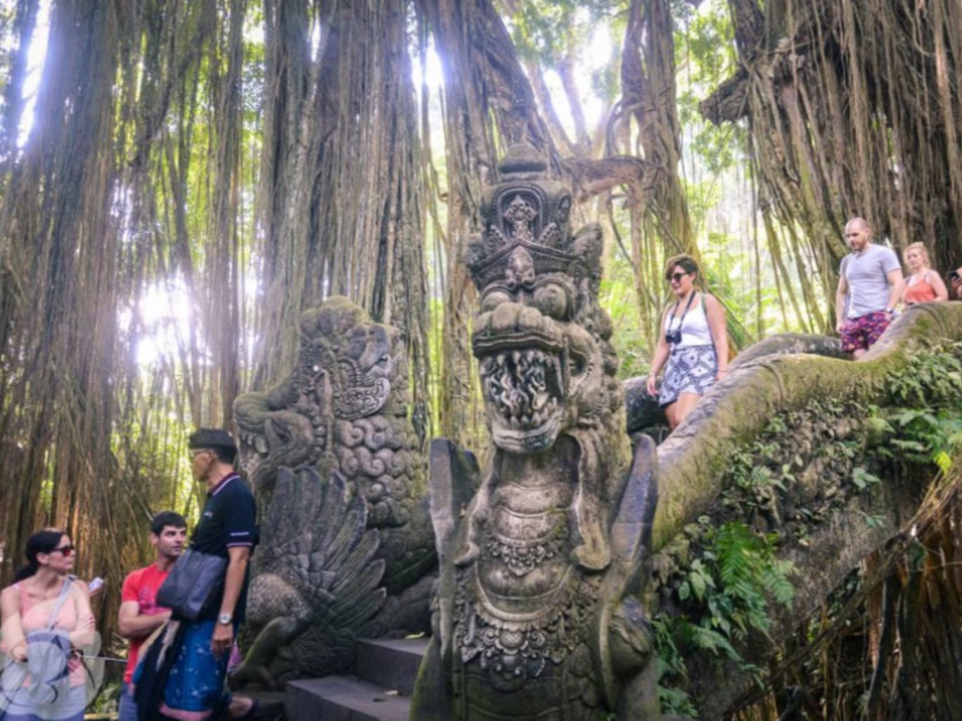 Khu bảo tồn Rừng Khỉ thiêng là khu bảo tồn thiên nhiên và quần thể đền thờ nằm ở Ubud, trên những ngọn đồi của Bali. Khu bảo tồn Rừng Khỉ thiêng là khu bảo tồn thiên nhiên và quần thể đền thờ nằm ở Ubud, trên những ngọn đồi của Bali.