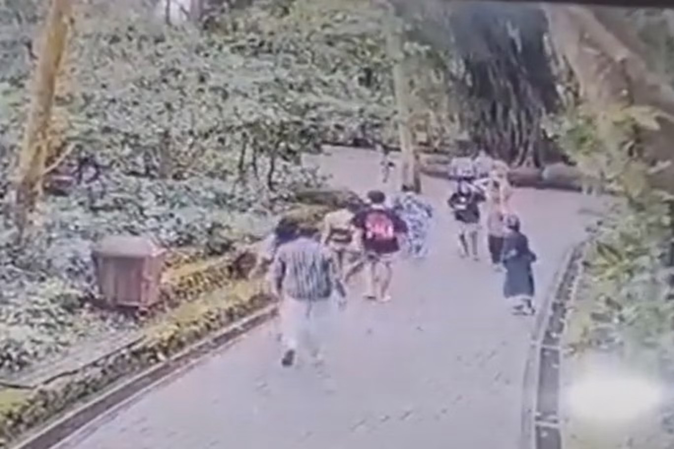 Vài phút trước khi một cơn gió mạnh thổi qua đã quật ngã cây cối và giết chết khách du lịch tại Rừng Khỉ thiêng Bali. Vài phút trước khi một cơn gió mạnh thổi qua đã quật ngã cây cối và giết chết khách du lịch tại Rừng Khỉ thiêng Bali.