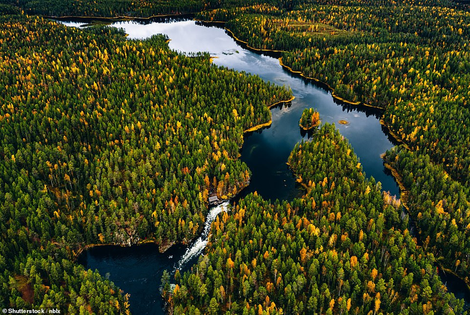 Nằm giữa khu vực Bắc Ostrobothnia và Lapland, công viên quốc gia Oulanka được Lonely Planet mô tả là "thiên đường ngoài trời" với 27.000 ha rừng taiga nguyên sơ, bao gồm thông, bạch dương và vân sam. Đây là điểm đến không thể bỏ qua đối với những người yêu thích thiên nhiên hoang dã. Nằm giữa khu vực Bắc Ostrobothnia và Lapland, công viên quốc gia Oulanka được Lonely Planet mô tả là "thiên đường ngoài trời" với 27.000 ha rừng taiga nguyên sơ, bao gồm thông, bạch dương và vân sam. Đây là điểm đến không thể bỏ qua đối với những người yêu thích thiên nhiên hoang dã.