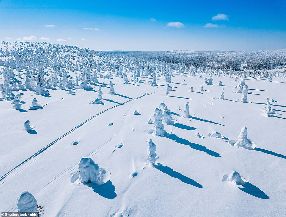 Không chỉ là điểm đến mùa đông lý tưởng, Lapland còn nổi tiếng với bầu không khí tinh khiết và nguồn nước trong lành bậc nhất thế giới. Theo Visit Finland, không gì có thể sánh với cảm giác hít thở không khí trong lành giữa khung cảnh thiên nhiên hoang sơ trải dài vô tận. Không chỉ là điểm đến mùa đông lý tưởng, Lapland còn nổi tiếng với bầu không khí tinh khiết và nguồn nước trong lành bậc nhất thế giới. Theo Visit Finland, không gì có thể sánh với cảm giác hít thở không khí trong lành giữa khung cảnh thiên nhiên hoang sơ trải dài vô tận.