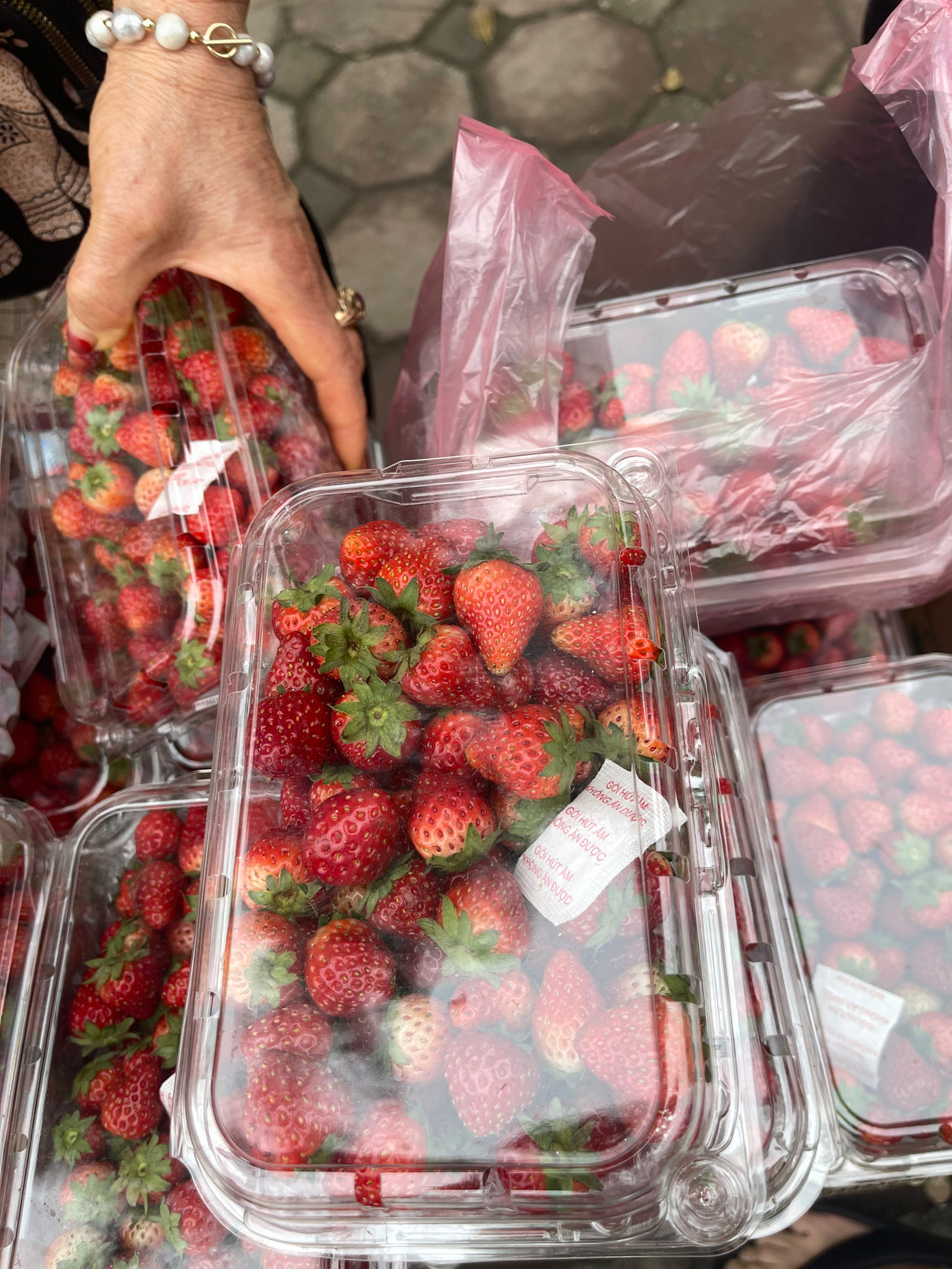 Các hộp dâu không có thông tin nguồn gốc cụ thể. Các hộp dâu không có thông tin nguồn gốc cụ thể.