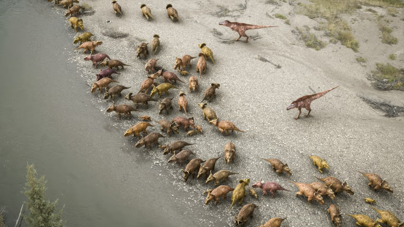 Một nhóm Gorgosaurus lùa một đàn Pachyrhinosaurus vào bờ sông như một chiến thuật săn mồi. Một nhóm Gorgosaurus lùa một đàn Pachyrhinosaurus vào bờ sông như một chiến thuật săn mồi.