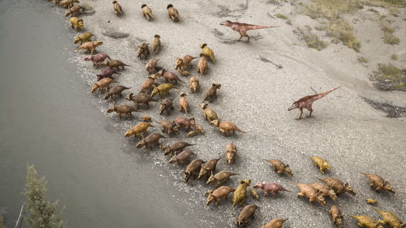 Một nhóm Gorgosaurus lùa một đàn Pachyrhinosaurus vào bờ sông như một chiến thuật săn mồi. Một nhóm Gorgosaurus lùa một đàn Pachyrhinosaurus vào bờ sông như một chiến thuật săn mồi.