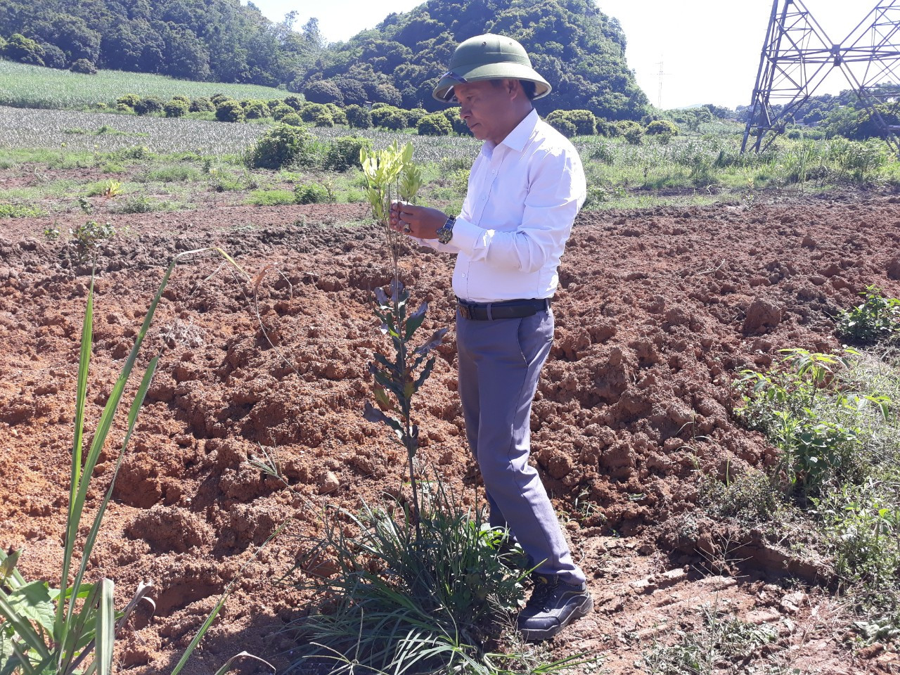 Ma trận gọi vốn đa cấp thời 4.0: Nhận diện những biến tướng mới ảnh 13 Ma trận gọi vốn đa cấp thời 4.0: Nhận diện những biến tướng mới ảnh 13