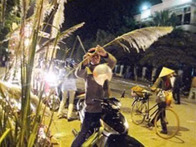 Một thanh niên vô tư bẻ hoa trên Phố Hoa Đinh Tiên Hoàng, Hà Nội ngày 1/1/2009. Ảnh : PV Ngay khi hoa anh đào Nhật Bản diễn ra ngày 6/4/2008 tại Triển lãm Giảng Võ còn chưa kết thúc, 3 cây hoa anh đào tươi chuyển từ Nhật Bản sang đã bị đám đông vặt trụi đến trơ gốc. Ảnh : Phan Kiền. Một thanh niên vô tư bẻ hoa trên Phố Hoa Đinh Tiên Hoàng, Hà Nội ngày 1/1/2009. Ảnh : PV Ngay khi hoa anh đào Nhật Bản diễn ra ngày 6/4/2008 tại Triển lãm Giảng Võ còn chưa kết thúc, 3 cây hoa anh đào tươi chuyển từ Nhật Bản sang đã bị đám đông vặt trụi đến trơ gốc. Ảnh : Phan Kiền.