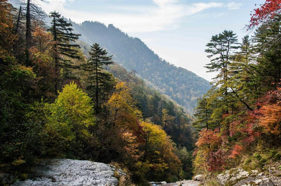 Vẻ đẹp núi Núi Kumgang của Triều Tiên. Ảnh: Tom McShane. Vẻ đẹp núi Núi Kumgang của Triều Tiên. Ảnh: Tom McShane.