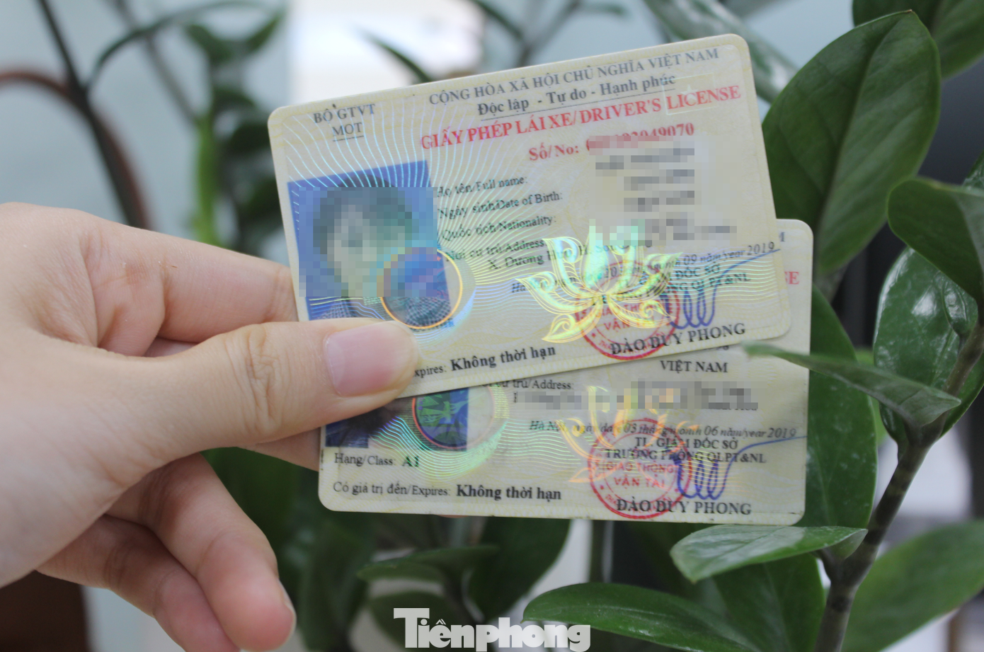 Đại diện Cục Đường bộ Việt Nam cho biết đã cấp bổ sung cho các Sở Giao thông vận tải cách đây nhiều ngày.