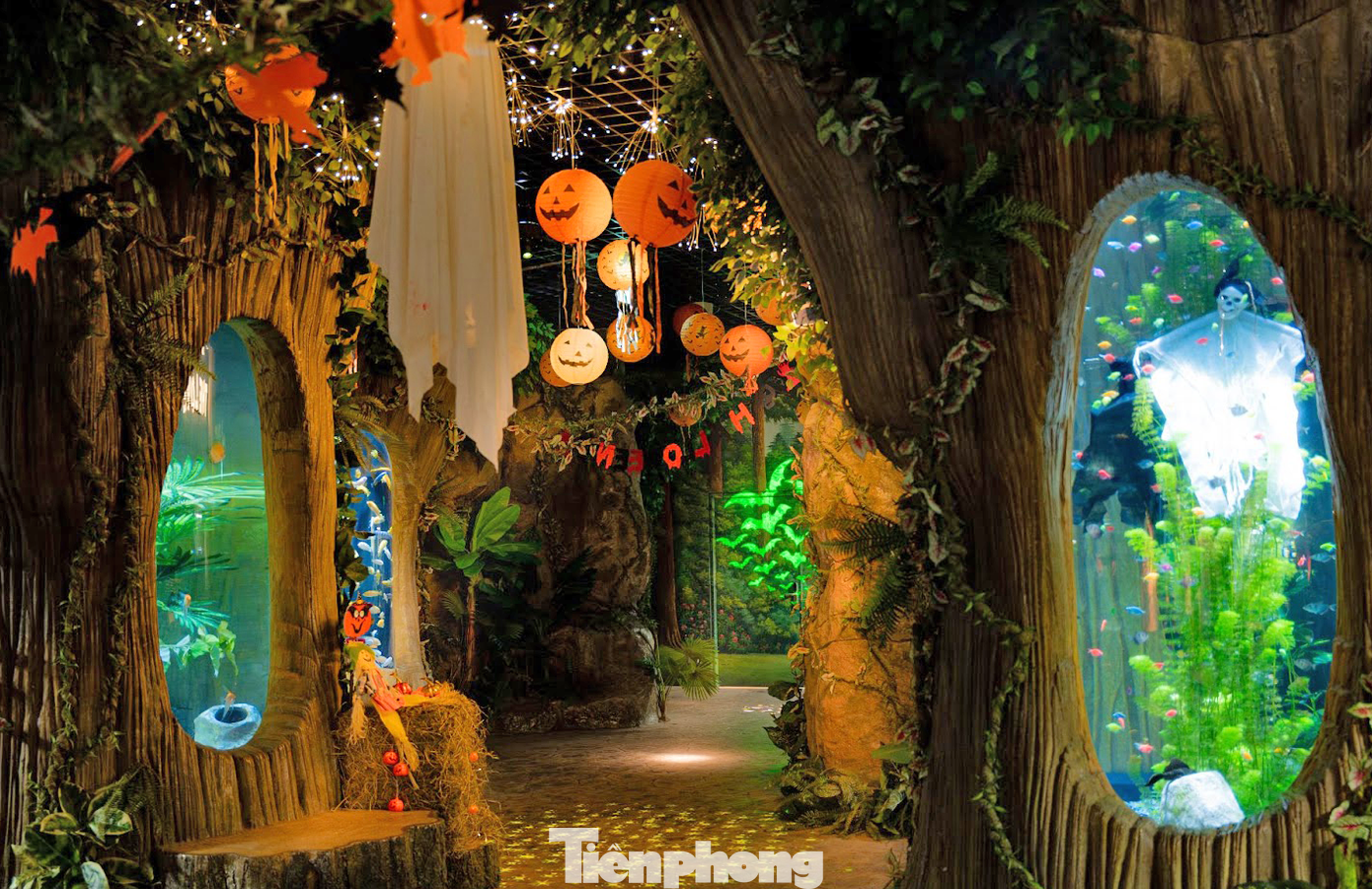 Năm nay người dân cũng có thể đến trải nghiệm không gian halloween tại Thuỷ Cung Lotte World Aquarium, quận Tây Hồ.