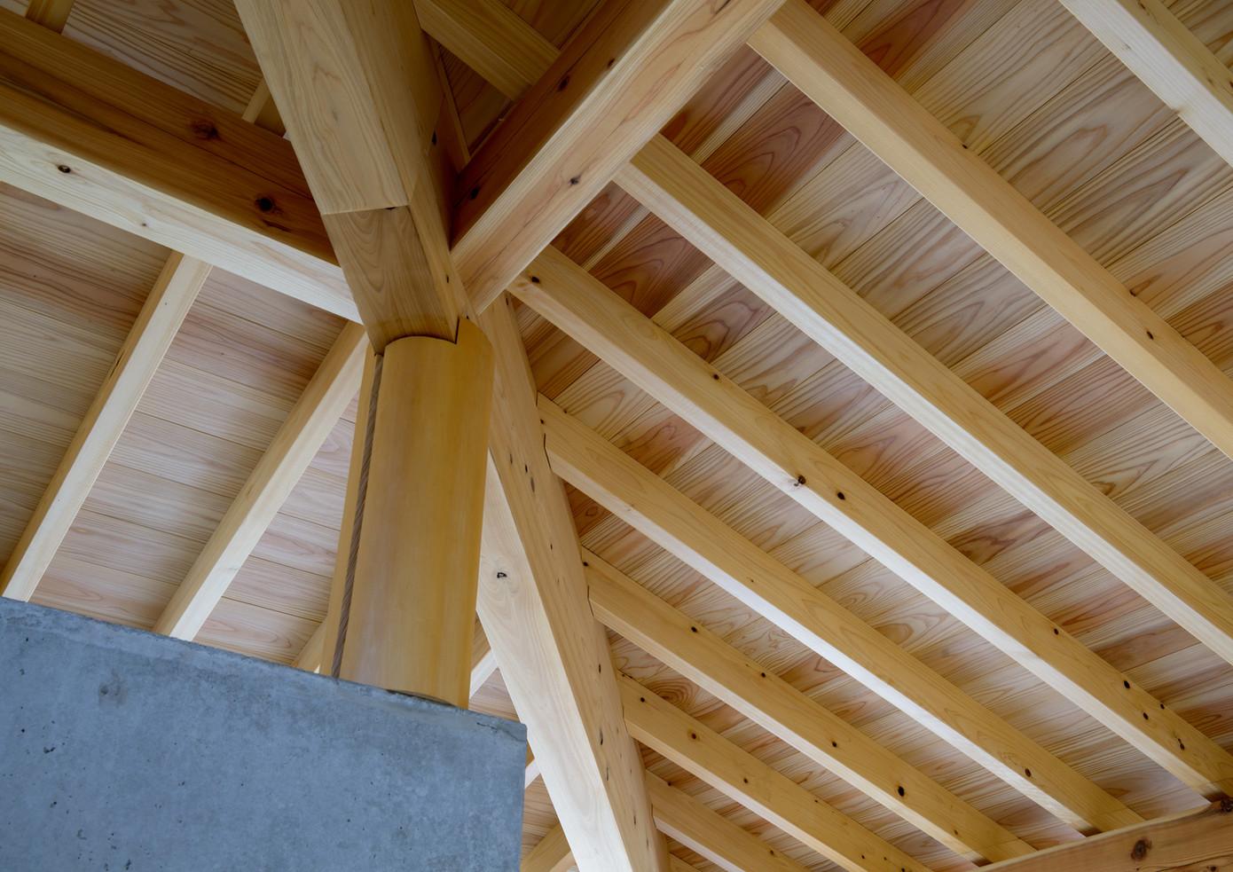 Các khu vực giếng trời được thiết kế thông tầng trần cao, cho phép ánh sáng tự nhiên tràn vào và không khí lưu thông dễ dàng.