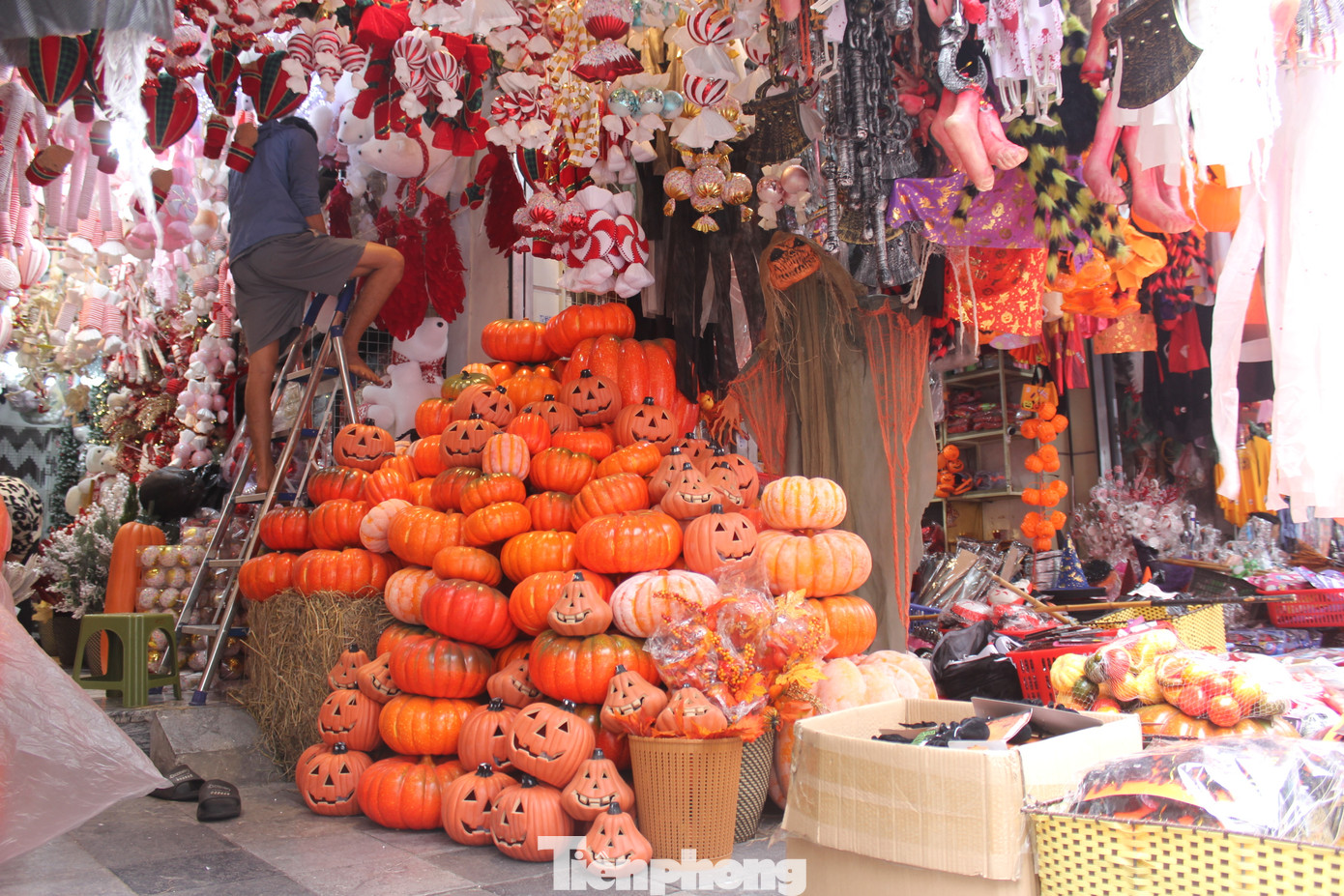 Trong những ngày gần sát dịp halloween, phố Lương Văn Can khoác lên mình một diện mạo cực kỳ thu hút.