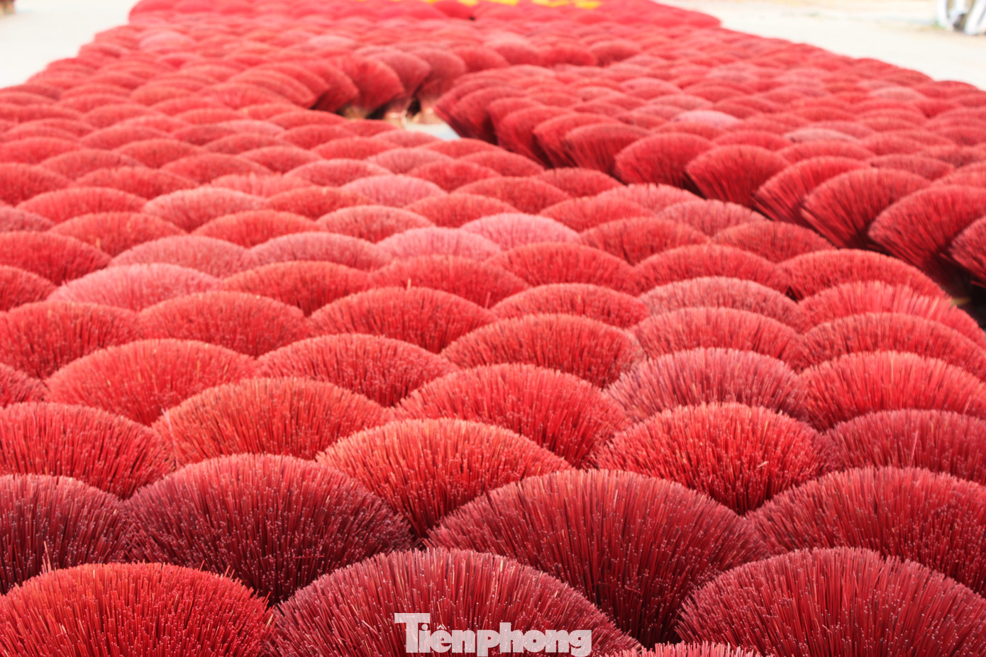 Du khách Abraham (64 tuổi, Ấn Độ) cũng bày tỏ: “Quê hương các bạn thật quyến rũ và xinh đẹp, nhất là trong mùa thu này. Khi tôi gửi những hình ảnh tại làng hương Quảng Phú Cầu cho bạn bè và người thân, họ đã thốt lên rằng sẽ bay đến Hà Nội ngay trong đêm để hôm sau đến ngôi làng hương này”.