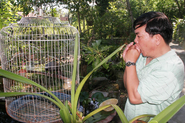 Ông Cảm đang “tán tỉnh” với chú chim khứu nuôi trong nhà 15 năm nay. Ảnh: Đăng Khoa. Ông Cảm đang “tán tỉnh” với chú chim khứu nuôi trong nhà 15 năm nay. Ảnh: Đăng Khoa