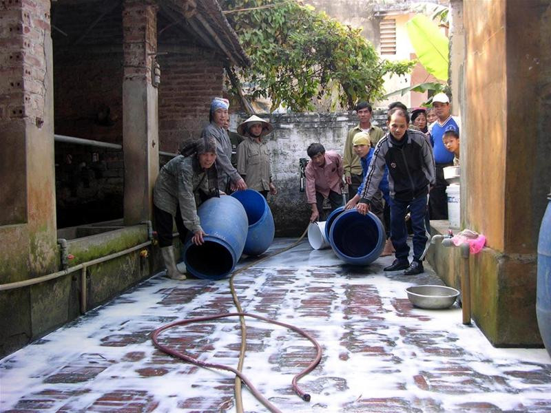 Nông dân đổ sữa bò. Ảnh : PV