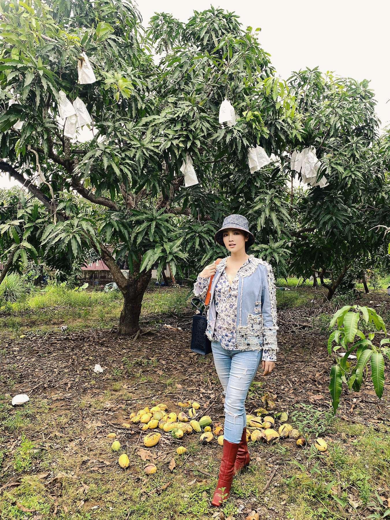Hoa hậu Giáng My háo hức vì được đi thăm vườn xoài ở Cần Giờ sau nhiều tháng ở trong nhà vì dịch bệnh.