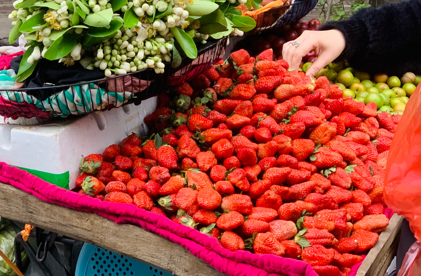 Dâu Trung Quốc quả đồng đều, sần sùi, màu đỏ đậm, hạt lồi ra ngoài. Về mùi vị, khi ăn dâu Sơn La có mùi thơm, ngọt thanh, tan ra trong miệng; dâu Trung Quốc dẻo, chua. Giá cả dâu tây dao động khoảng 150.000 - 400.000 đồng/kg, chia theo 4 mức: Loại vip (14 -16 quả) có giá 400.000 đồng/kg, loại to (18 - 20 quả) 350.000 đồng/kg, loại nhỡ (22 - 24 quả) 300.000 đồng/kg và loại bi (34 - 36 quả) có giá 150.000 - 220.000 đồng/kg.