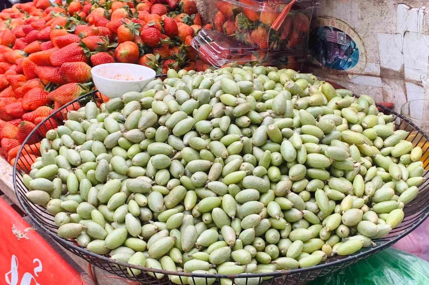 Nhót xanh Sơn La cũng nhận được sự ưa chuộng của các chị em. Loại nhót này không hạt, có vị chua và hơi chát, thường được dùng chấm với chẩm chéo hoặc làm rau cuốn bánh tráng.