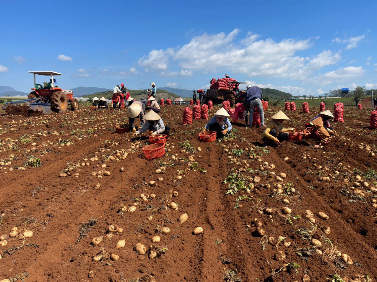Lan tỏa giá trị tích cực qua Dự án dài hạn về Nông nghiệp Xanh tại các tỉnh Tây Nguyên và phía Bắc
