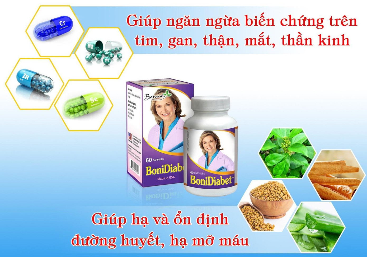 Thành phần của BoniDiabet+ Thành phần của BoniDiabet+