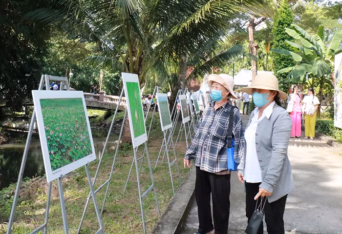 Người dân dự lễ giỗ cụ Phó bảng Nguyễn Sinh Sắc và tham quan triển lãm