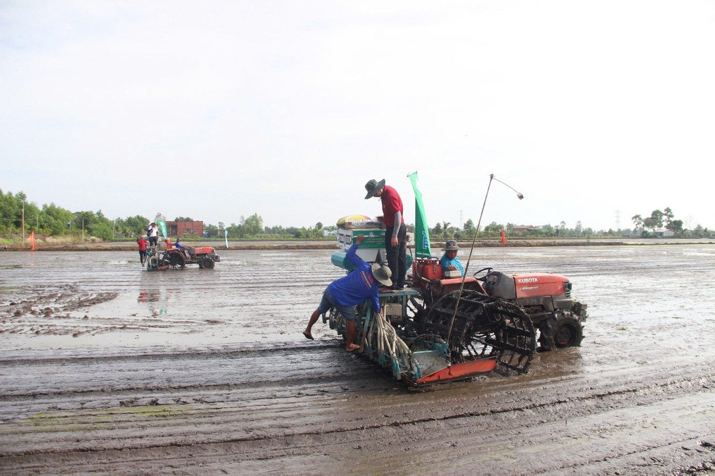 Nông dân tham gia mô hình phải ghi chép nhật ký sản xuất, tham dự đầy đủ các buổi tập huấn và tuân thủ quy trình đúng quy trình kỹ thuật sản xuất lúa chất lượng cao, phát thải thấp gắn với tăng trưởng xanh theo hướng dẫn của cán bộ kỹ thuật.