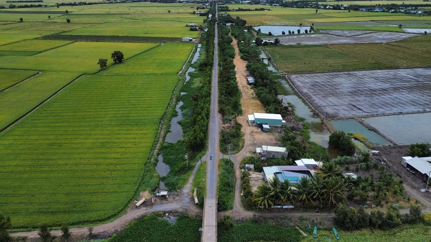 Tại các vùng chuyên canh lúa chất lượng cao và phát thải thấp, giảm lượng lúa giống gieo sạ xuống 80-100 kg/ha, giảm 20% lượng phân bón hóa học và thuốc bảo vệ thực vật có nguồn gốc hóa học, giảm 20% lượng nước tưới so với canh tác truyền thống, 100% diện tích áp dụng ít nhất một quy trình canh tác bền vững như 1 phải 5 giảm, tưới ngập khô xen kẽ, tiêu chuẩn sản xuất lúa bền vững (Sustainable Rice Platform - SRP), các tiêu chuẩn thực hành nông nghiệp tốt được chứng nhận và được cấp mã số vùng trồng.