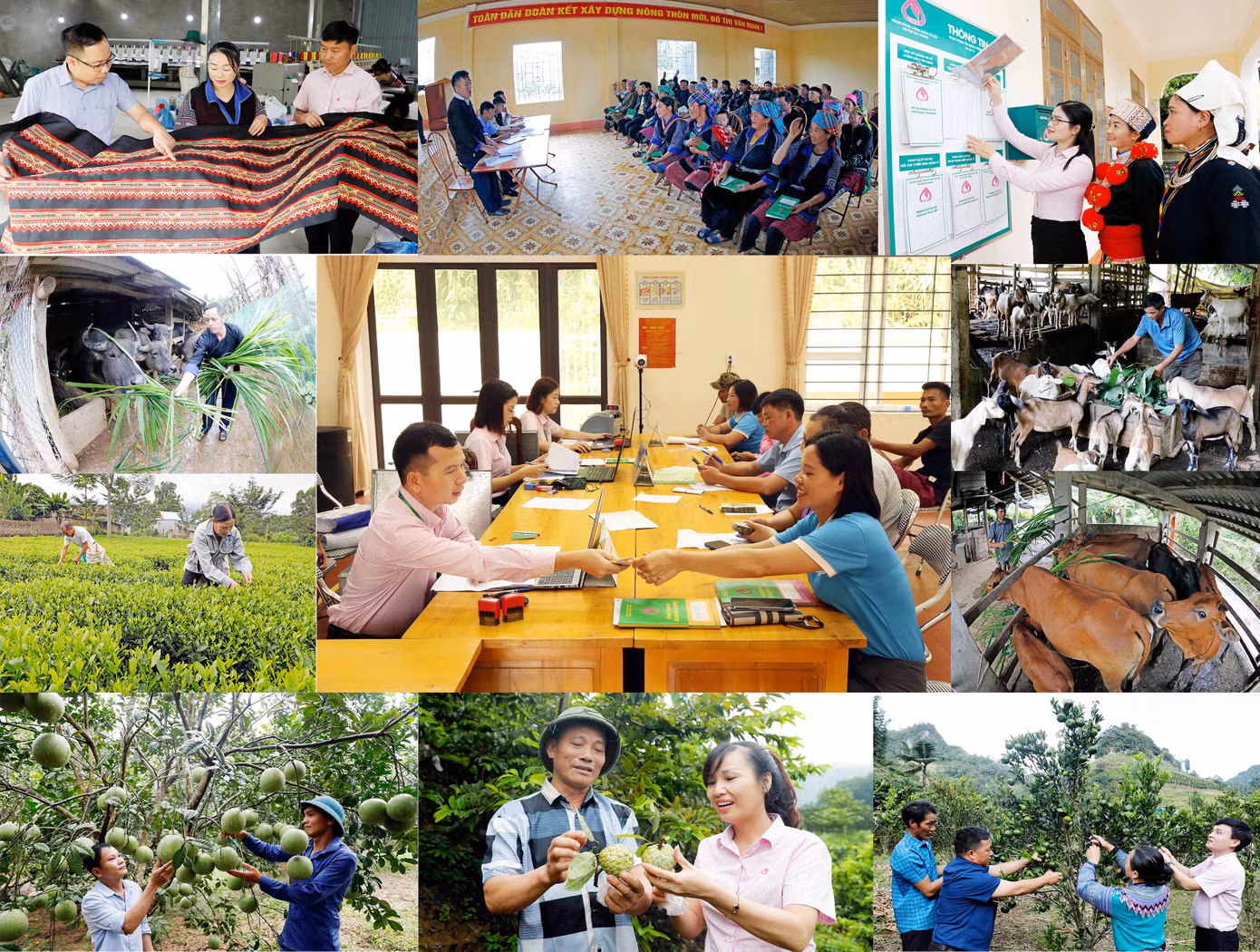 Tín dụng chính sách xã hội đã trở thành một “điểm sáng”, là một “trụ cột” trong hệ thống chính sách giảm nghèo, bảo đảm an sinh xã hội, đáp ứng nguyện vọng của nhân dân, đặc biệt là người nghèo và đối tượng yếu thế trong xã hội