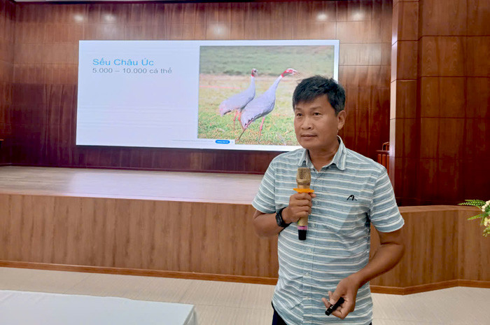 TS. Trần Triết – Giám đốc Chương trình Bảo tồn Sếu Đông Nam Á, Giảng viên Trường Đại học Khoa học Tự nhiên (Đại học Quốc gia Thành phố Hồ Chí Minh) thông tin về công tác bảo tồn, phát triển Sếu đầu đỏ. Ảnh: Thành Long
