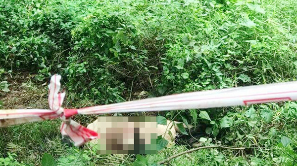 Người đàn ông nghi bị sát hại trong rừng cao su ảnh 1