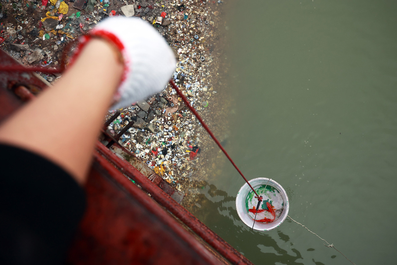 Người dân dùng ròng rọc thả cá chép tiễn ông Công ông Táo chầu trời ảnh 9