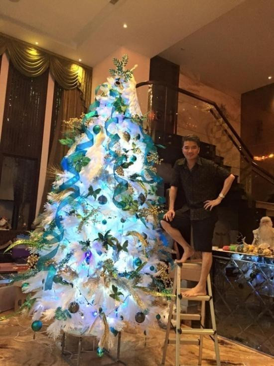 Đàm Vĩnh Hưng tung ảnh nhà ngổn ngang, nói lí do hủy Noel ảnh 9