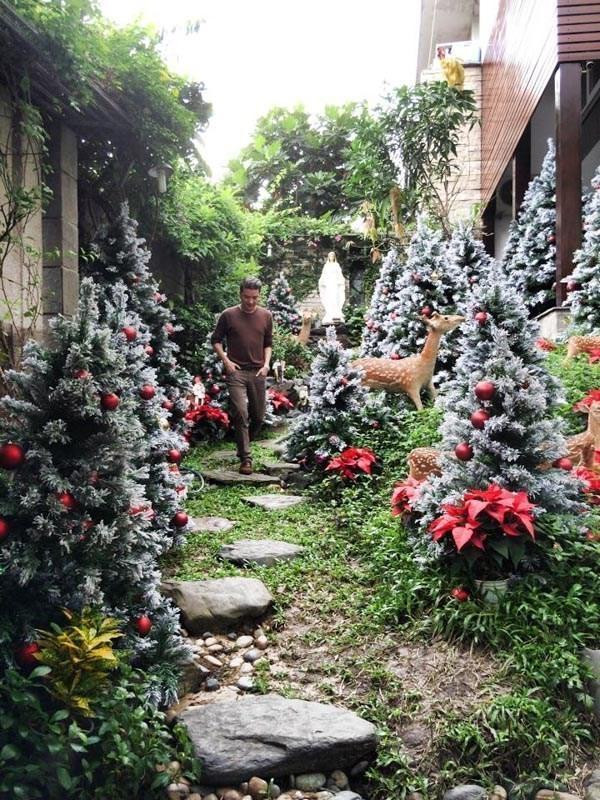 Đàm Vĩnh Hưng tung ảnh nhà ngổn ngang, nói lí do hủy Noel ảnh 11